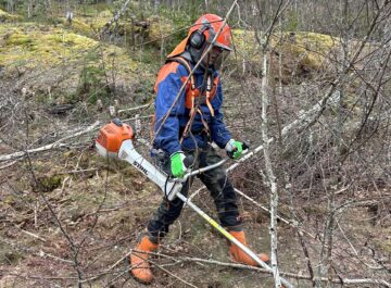 4H skogskurs med röjsåg för unga i Österbotten featured image